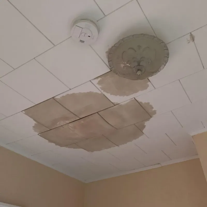 Ceiling Water Damage Repair in Sherburne County, MN