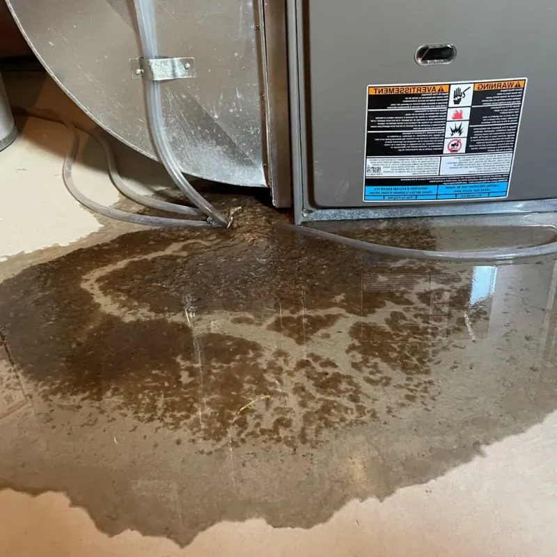 Pipe Burst and Leak Restoration in Sherburne County, MN
